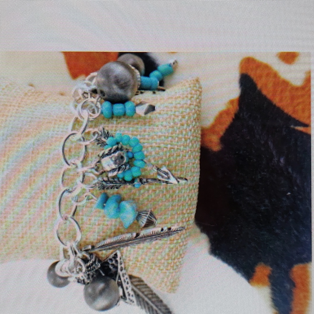 Ladies Jewelry 15$